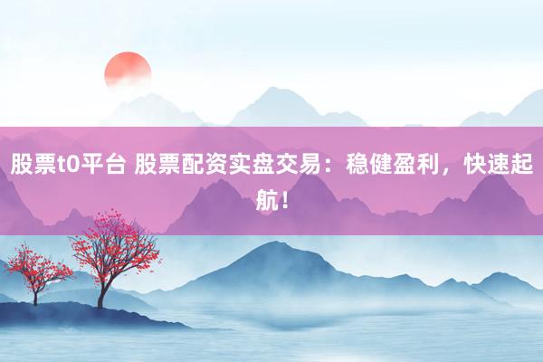 股票t0平台 股票配资实盘交易：稳健盈利，快速起航！