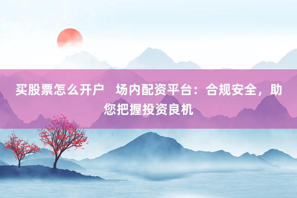 买股票怎么开户   场内配资平台：合规安全，助您把握投资良机