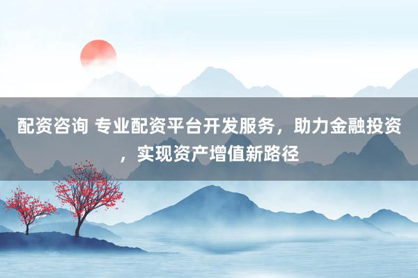 配资咨询 专业配资平台开发服务，助力金融投资，实现资产增值新路径