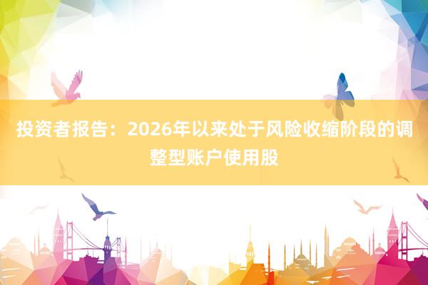 投资者报告：2026年以来处于风险收缩阶段的调整型账户使用股