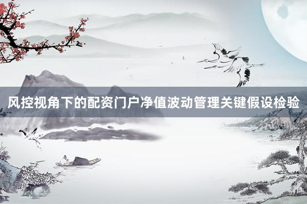 风控视角下的配资门户净值波动管理关键假设检验