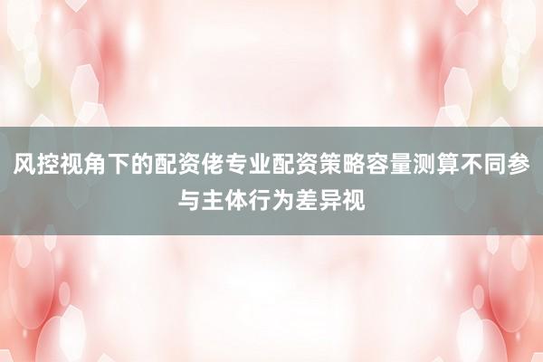 风控视角下的配资佬专业配资策略容量测算不同参与主体行为差异视