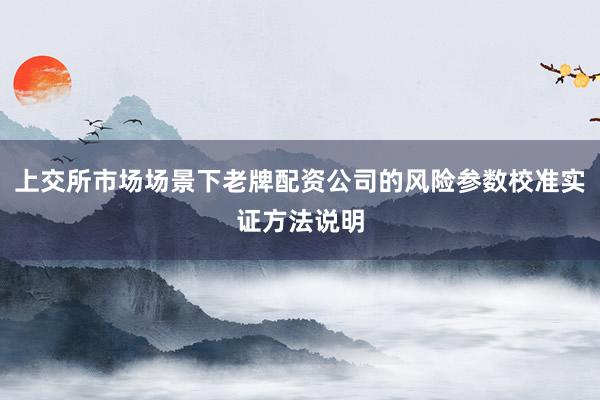 上交所市场场景下老牌配资公司的风险参数校准实证方法说明