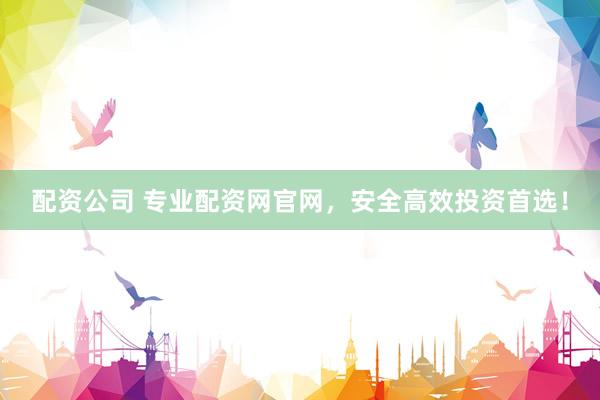 配资公司 专业配资网官网，安全高效投资首选！