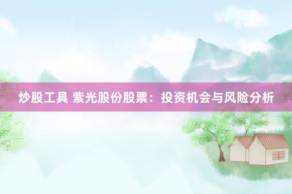 炒股工具 紫光股份股票：投资机会与风险分析