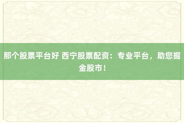 那个股票平台好 西宁股票配资：专业平台，助您掘金股市！