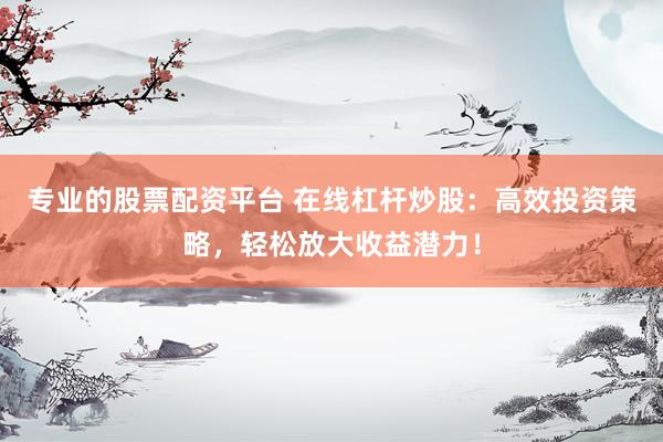 专业的股票配资平台 在线杠杆炒股：高效投资策略，轻松放大收益潜力！