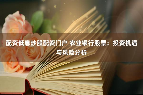 配资低息炒股配资门户 农业银行股票：投资机遇与风险分析