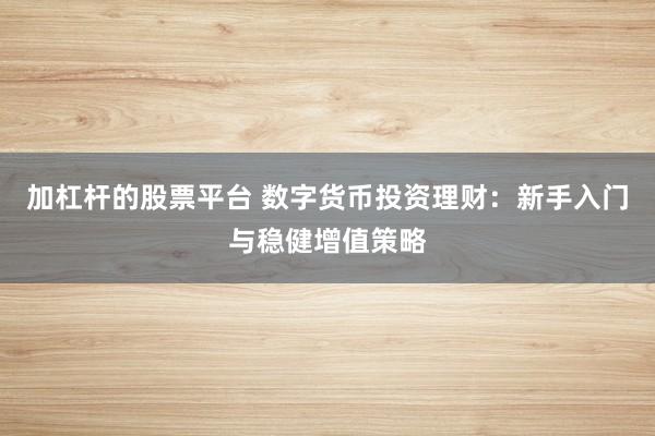 加杠杆的股票平台 数字货币投资理财：新手入门与稳健增值策略