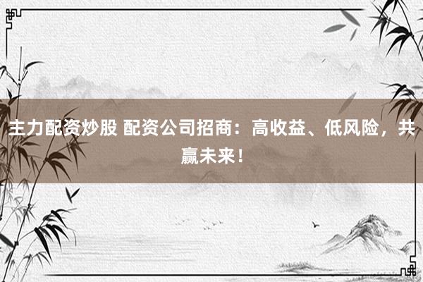 主力配资炒股 配资公司招商：高收益、低风险，共赢未来！